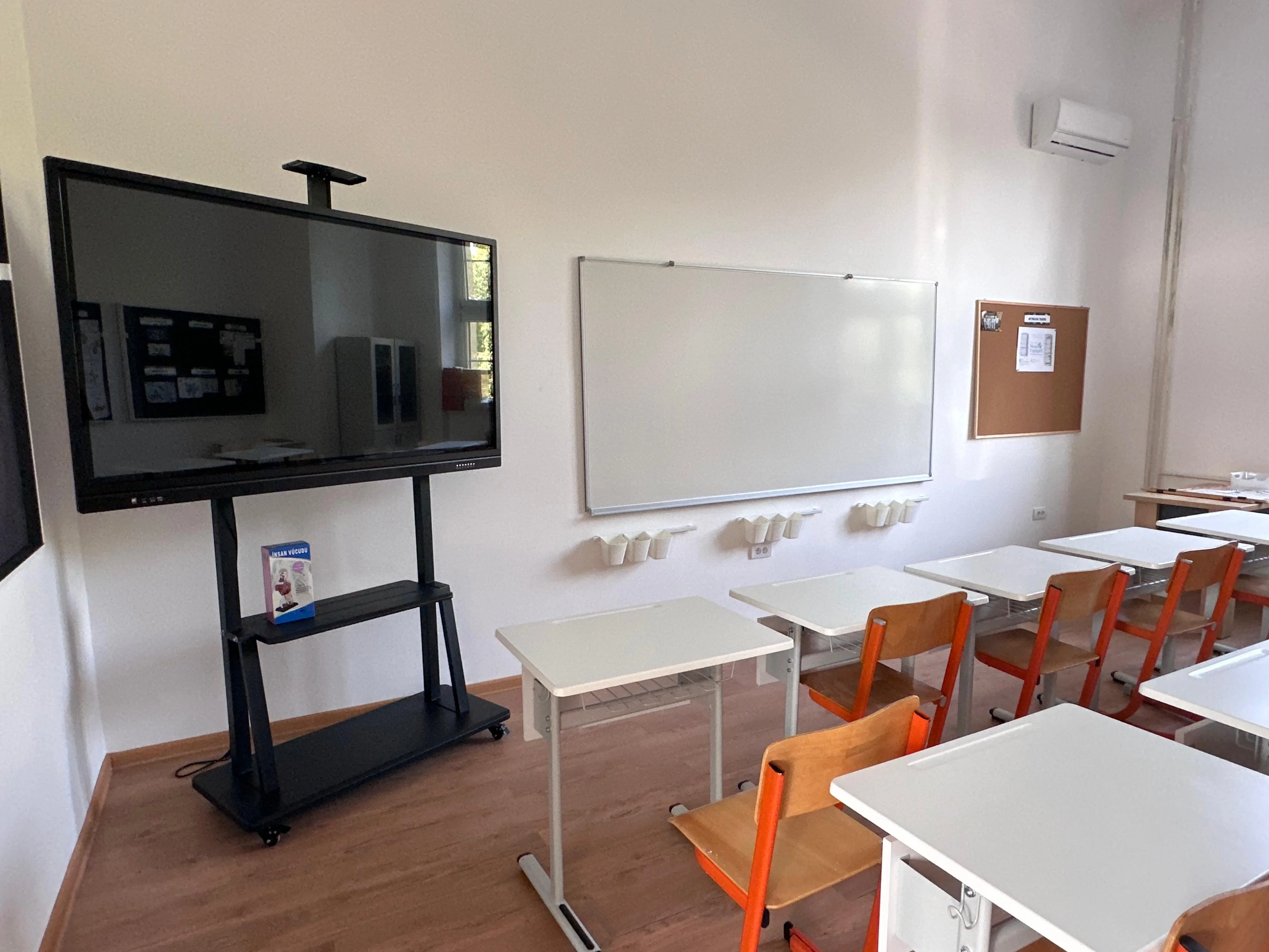 privatna-osnovna-skola-mina-karadzic-savski-venac.jpg